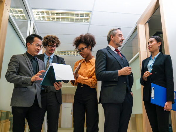 Data Governance and Stewardship Organizations